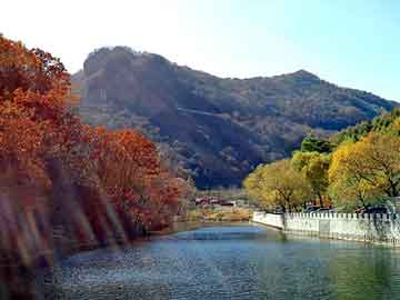 奥门天天开奖免费资料，青岛汽车座套